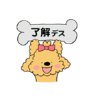 ほんわかトイプードルちゃん（個別スタンプ：7）