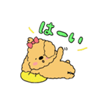 ほんわかトイプードルちゃん（個別スタンプ：8）