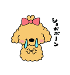 ほんわかトイプードルちゃん（個別スタンプ：11）