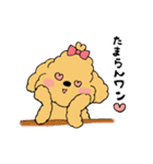 ほんわかトイプードルちゃん（個別スタンプ：20）
