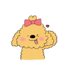 ほんわかトイプードルちゃん（個別スタンプ：21）
