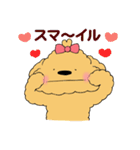 ほんわかトイプードルちゃん（個別スタンプ：24）