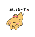 ほんわかトイプードルちゃん（個別スタンプ：35）