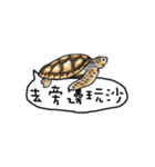 レイジー動物園（個別スタンプ：25）
