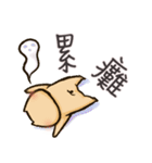 Otabu - Chinese ver（個別スタンプ：14）