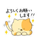 敬語でぶち猫にゃんちゃん2（個別スタンプ：5）