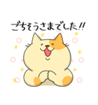 敬語でぶち猫にゃんちゃん2（個別スタンプ：9）