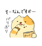 敬語でぶち猫にゃんちゃん2（個別スタンプ：29）