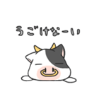 だるうし（個別スタンプ：19）