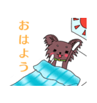 ちわさん＆おちわ（個別スタンプ：13）
