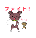 ちわさん＆おちわ（個別スタンプ：25）