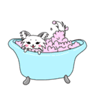 ちわさん＆おちわ（個別スタンプ：31）