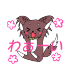 ちわさん＆おちわ（個別スタンプ：37）