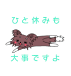ちわさん＆おちわ（個別スタンプ：38）