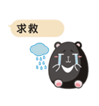 TAIWAN black black black black bear2（個別スタンプ：23）