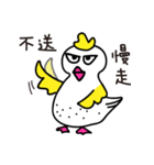 Coo Coo Chick 3（個別スタンプ：11）