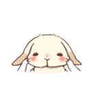 Long Furry Bunny and Short Furry Bunny（個別スタンプ：31）