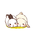 Long Furry Bunny and Short Furry Bunny（個別スタンプ：36）