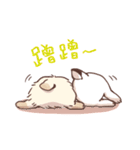 Long Furry Bunny and Short Furry Bunny（個別スタンプ：39）