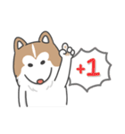 Husky Fendi 2（個別スタンプ：3）