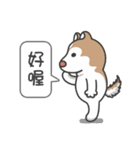 Husky Fendi 2（個別スタンプ：4）