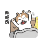 Husky Fendi 2（個別スタンプ：5）