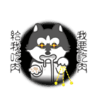 Husky Fendi 2（個別スタンプ：23）