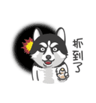 Husky Fendi 2（個別スタンプ：34）