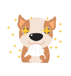 Brownie Bowow, the brown dog（個別スタンプ：17）