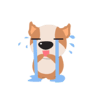 Brownie Bowow, the brown dog（個別スタンプ：33）