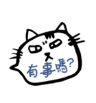 Office Cat Cat（個別スタンプ：3）