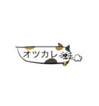 おしゃべファミリー（個別スタンプ：3）