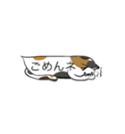 おしゃべファミリー（個別スタンプ：29）