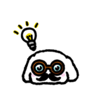 しろいペキニーズ（個別スタンプ：11）