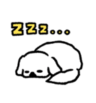 しろいペキニーズ（個別スタンプ：31）