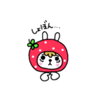 ゆずうさぎ2（個別スタンプ：19）