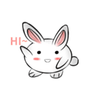 white ball rabbit（個別スタンプ：1）