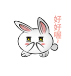 white ball rabbit（個別スタンプ：10）