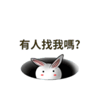 white ball rabbit（個別スタンプ：11）