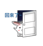 white ball rabbit（個別スタンプ：13）