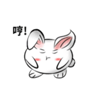 white ball rabbit（個別スタンプ：25）