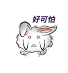 white ball rabbit（個別スタンプ：26）