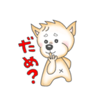 柴犬豆蔵の一言集「其の二」（個別スタンプ：19）