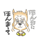 柴犬豆蔵の一言集「其の二」（個別スタンプ：24）