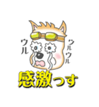 柴犬豆蔵の一言集「其の二」（個別スタンプ：31）