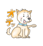 柴犬豆蔵の一言集「其の二」（個別スタンプ：40）