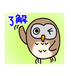 フクロウのきもち（個別スタンプ：39）