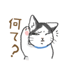 猫さんちのねこさんたち（個別スタンプ：3）