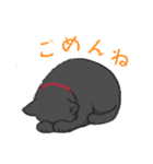 猫さんちのねこさんたち（個別スタンプ：16）