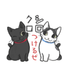 猫さんちのねこさんたち（個別スタンプ：20）